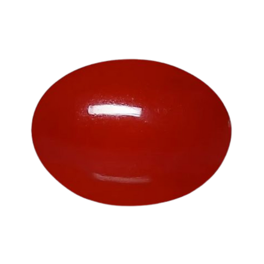 Red Coral – Moonga